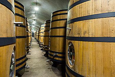 《终点:丧尸幸存者》大型更新6月2日上线 追加多项实用内容